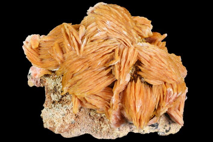 Pink and Orange Bladed Barite - Mibladen, Morocco #103698